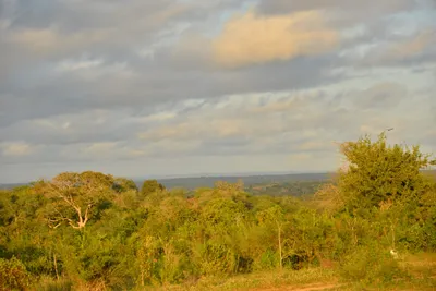 DSC_4328 (Large).JPG